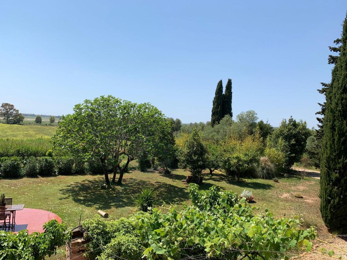 Casale Degli Ulivi Maccarese Villa Le Cerquete Bagian luar foto