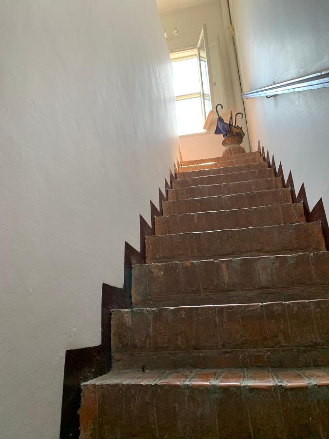 Casale Degli Ulivi Maccarese Villa Le Cerquete Bagian luar foto