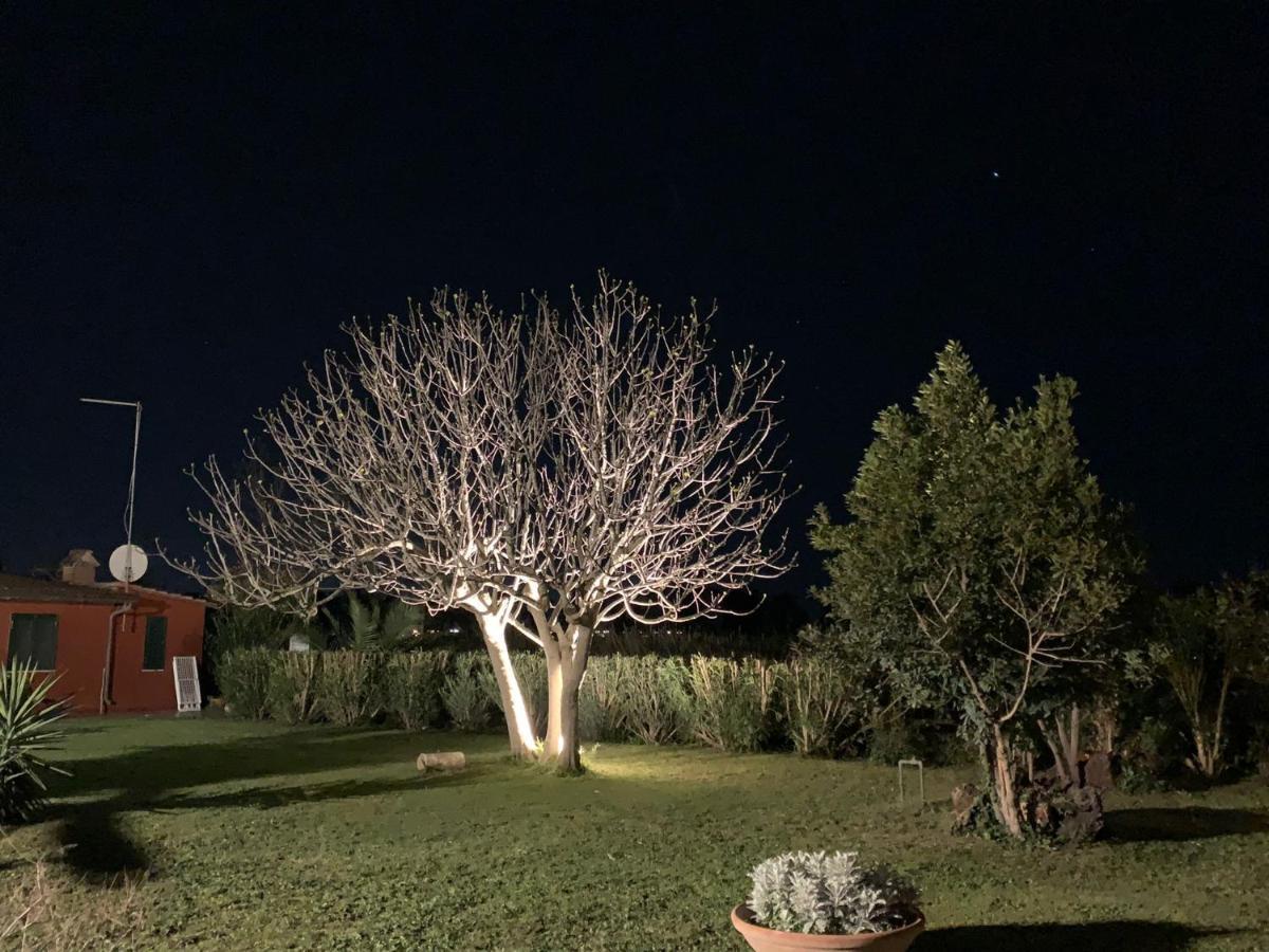 Casale Degli Ulivi Maccarese Villa Le Cerquete Bagian luar foto
