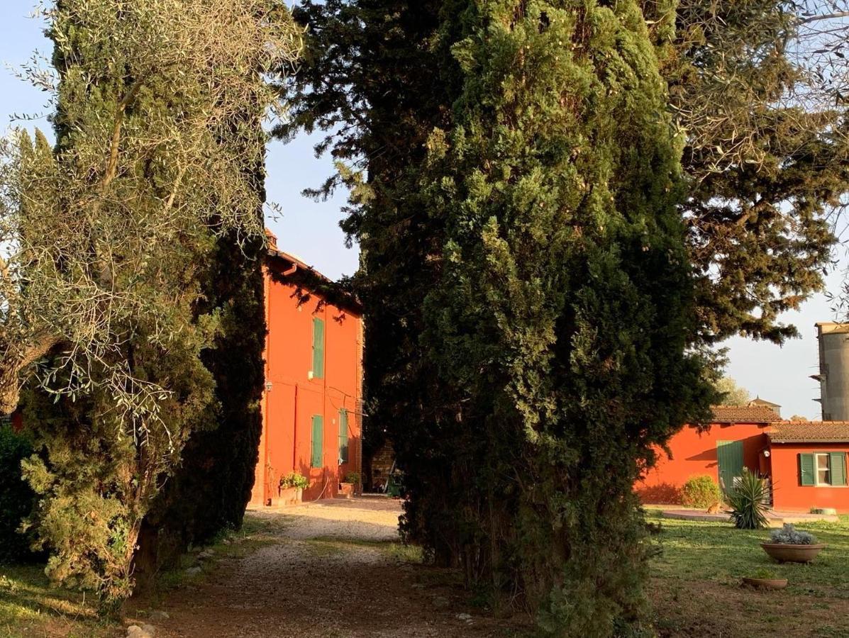 Casale Degli Ulivi Maccarese Villa Le Cerquete Bagian luar foto