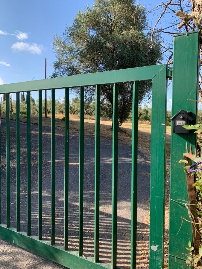 Casale Degli Ulivi Maccarese Villa Le Cerquete Bagian luar foto