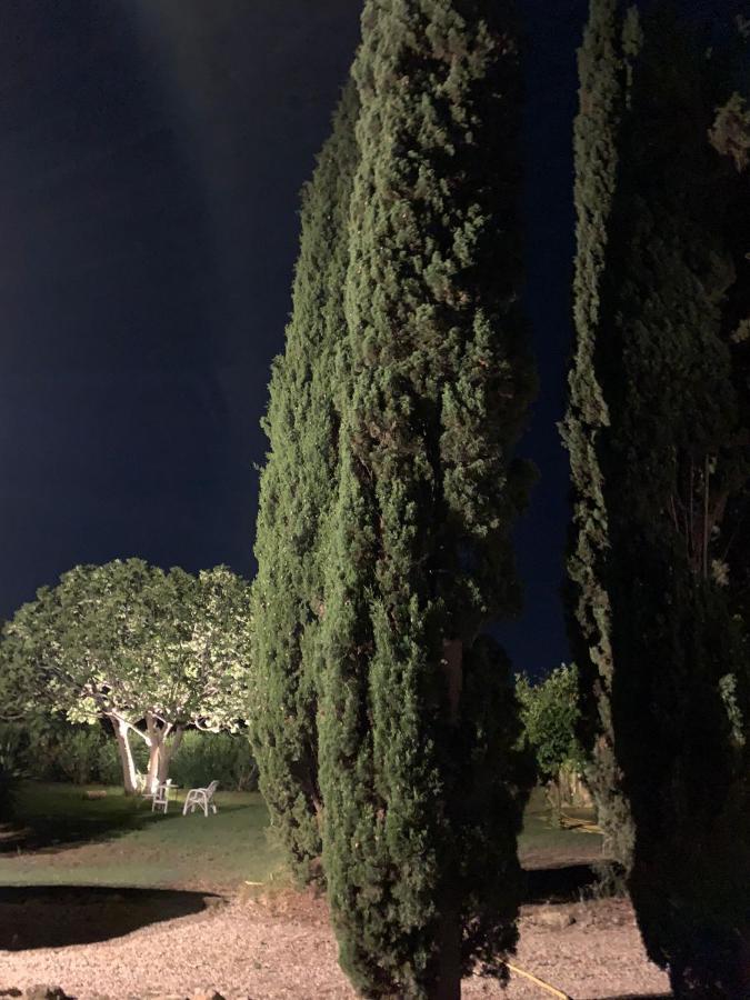 Casale Degli Ulivi Maccarese Villa Le Cerquete Bagian luar foto
