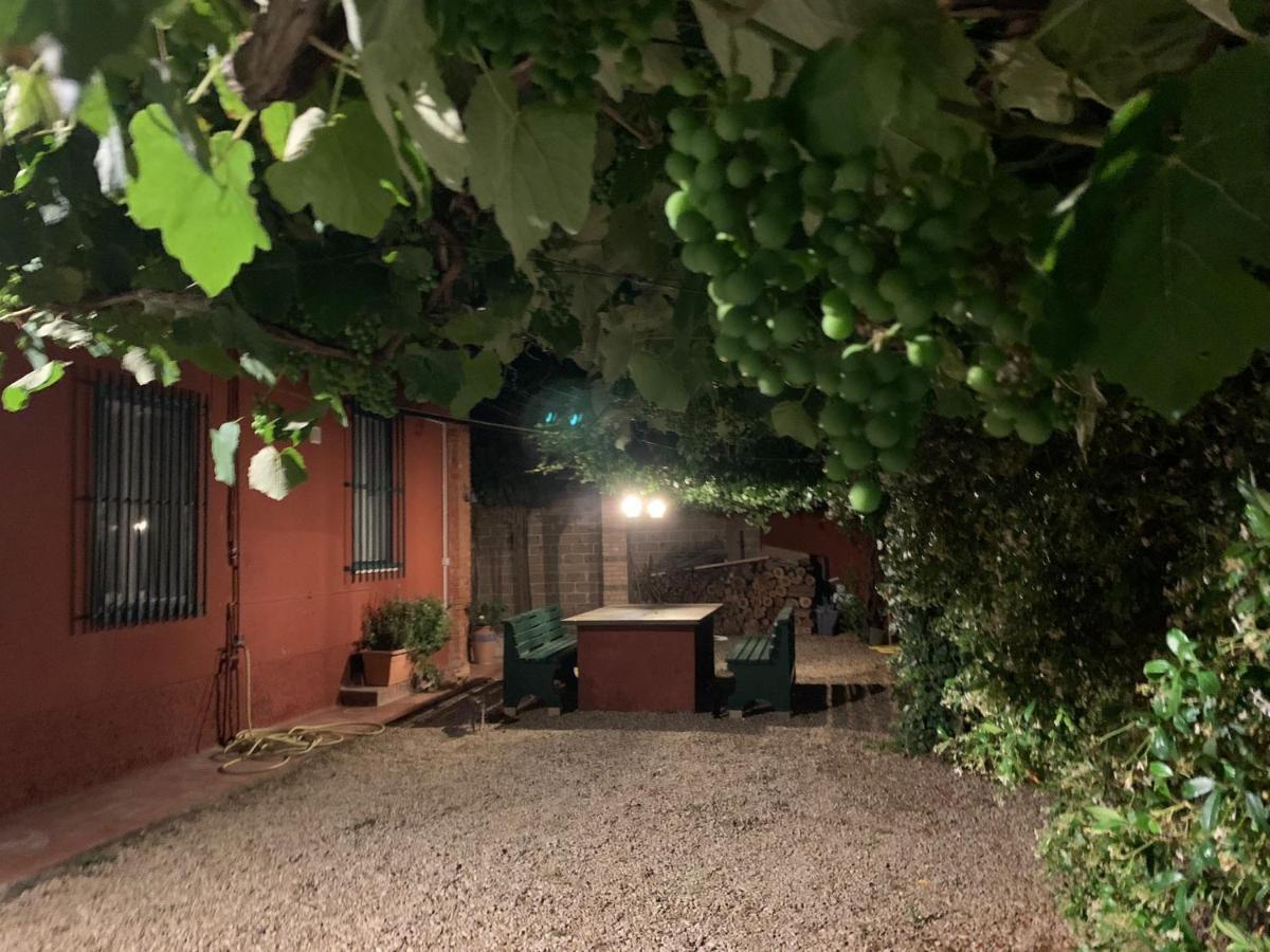 Casale Degli Ulivi Maccarese Villa Le Cerquete Bagian luar foto